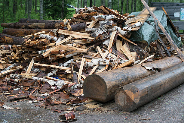 chopped firewood and logs stock photo