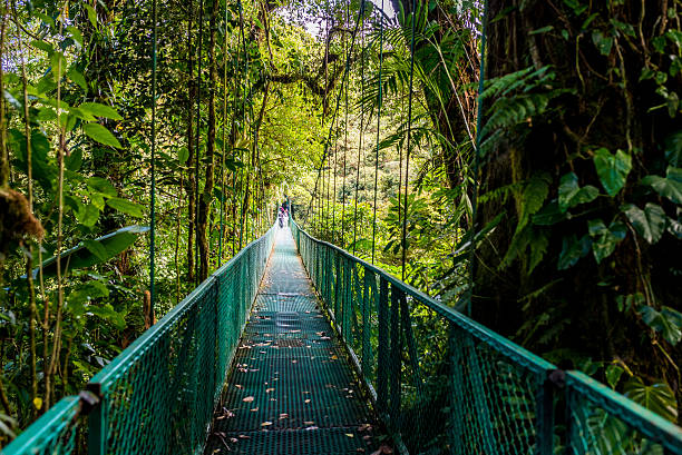istock Hanging Bridges in Cloudforest - Costa Rica 511786640