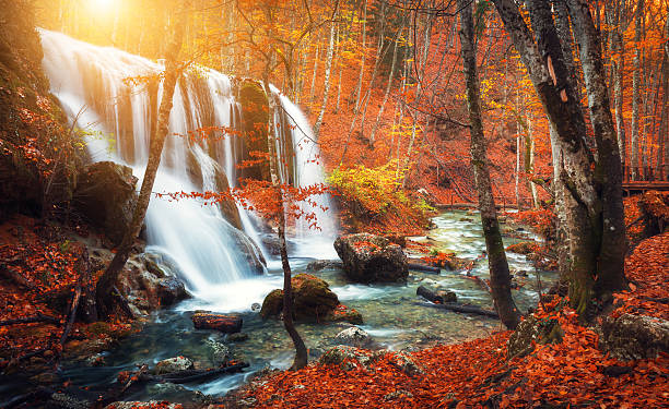 istock Waterfall at mountain river in autumn forest at sunset. 511786768