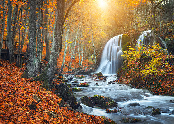 istock Waterfall at mountain river in autumn forest at sunset. 511787932