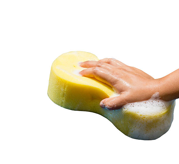istock hand holding a cleaning sponge isolated on a white background 511789171
