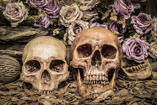 istock still life couple human skull with roses 511789204