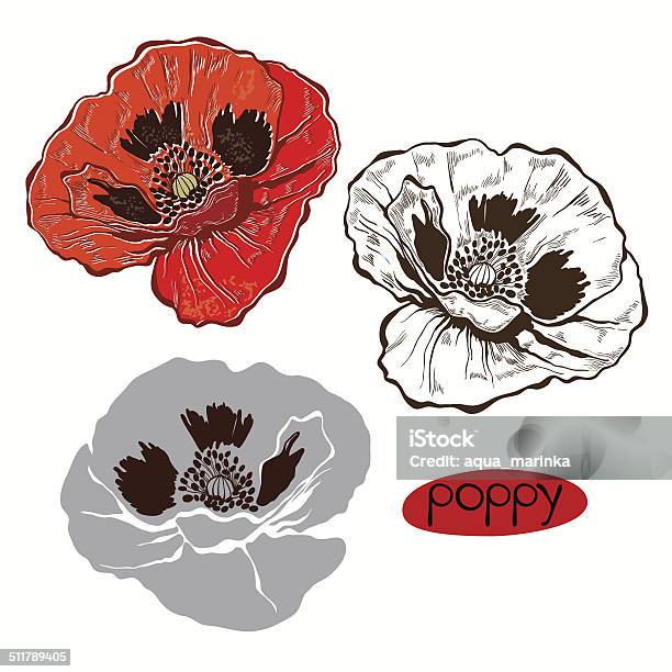 Set Of Poppy Isolated On White Background Stock Illustration - Download Image Now - Abstract, Beauty, Black Color