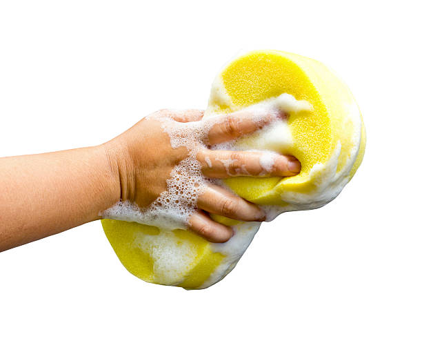istock hand holding a cleaning sponge isolated on a white background 511789791