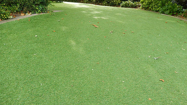 istock Image of plastic, synthetic, afrificial lawn grass, artificial turf, fake 511791999