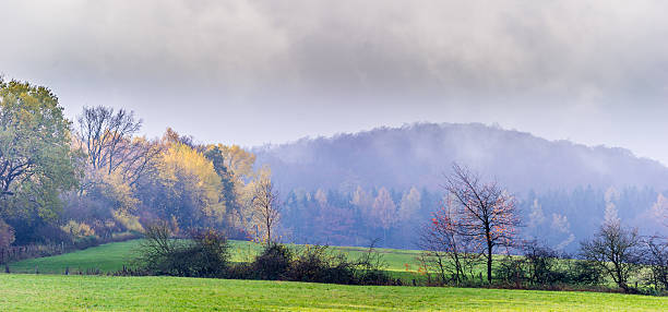 istock Autumn in the Nature Park 511792054