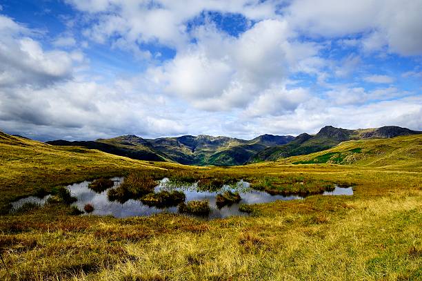 langdale vale - bowfell imagens e fotografias de stock