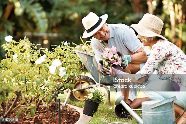 Und Dieses Bündel Ist Für Mein Blüte Stockfoto und mehr Bilder von Alter Erwachsener - Alter Erwachsener, Gärtnern, Hausgarten