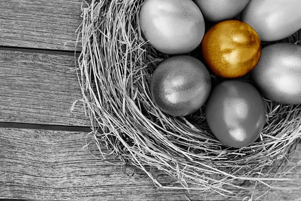 One golden Easter Egg in a nest