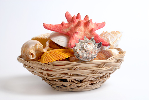Sea cockleshells and starfish in a wattled basket over light gray