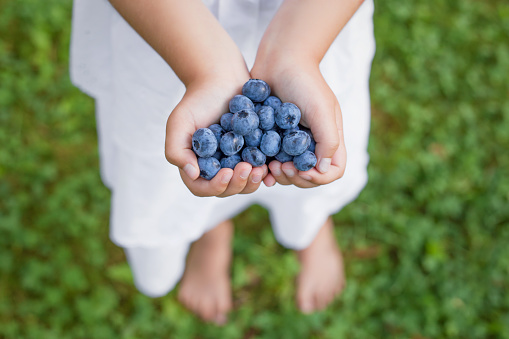 Little barefoot girl holding blueberries in hands
