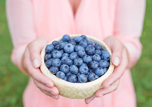 istock Woman holding small pot of blueberries 511796040
