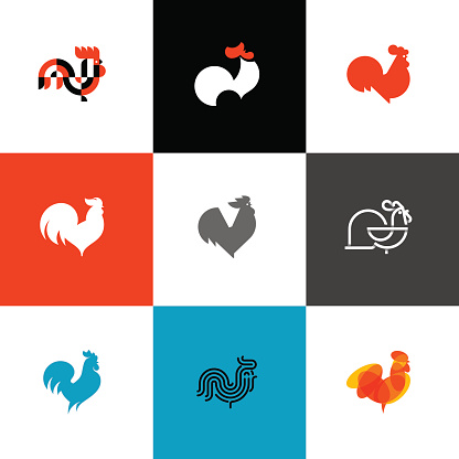 Rooster and cock. Flat design style vector illustrations set of icons and design elements