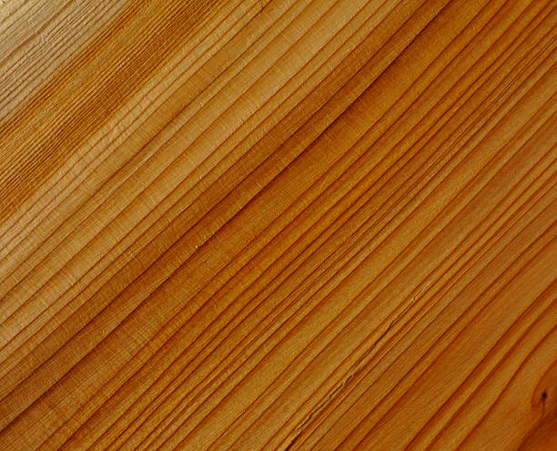 yew wood texture stock photo