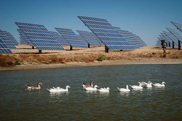 Sun Energy Farm - Stock Image stock photo