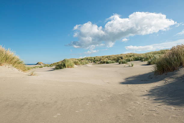 отслеживание в дюны. - wadden wadden sea unesco world heritage site sea стоковые фото и изображения