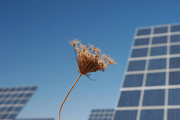 Sun Energy Farm - Stock Image stock photo