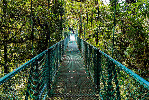 istock Hanging Bridges in Cloudforest - Costa Rica 511798664