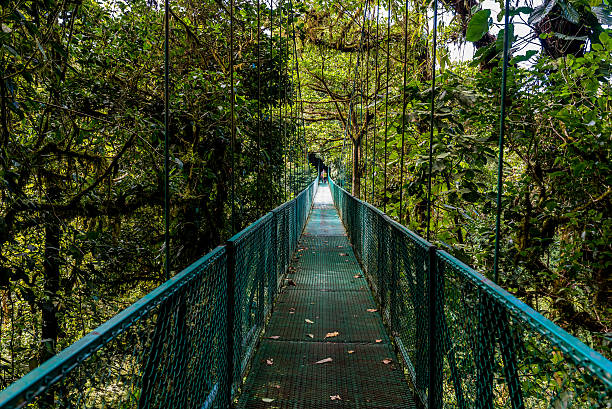 istock Hanging Bridges in Cloudforest - Costa Rica 511799230