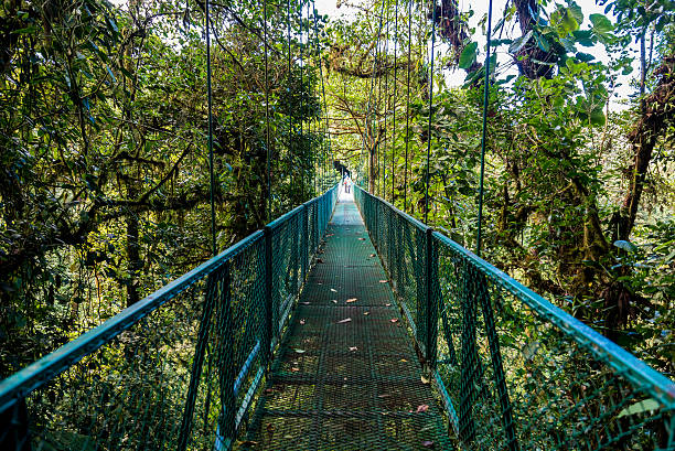 istock Hanging Bridges in Cloudforest - Costa Rica 511799826