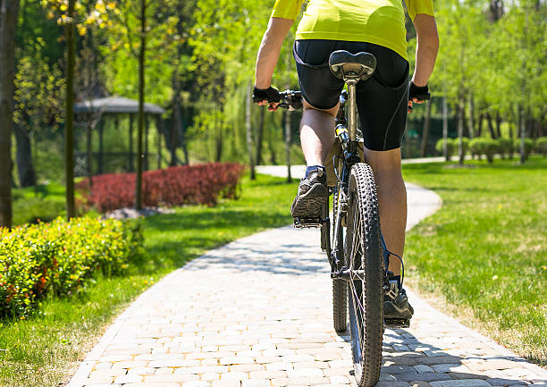 Bicyclist rides on the road in city park. Sunny summer stock photo