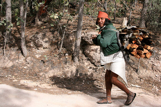 Samachique, Mexico - February 17, 2007: Elderly traditional man from the Tarahumara tribe of indigenous people in the Sierra Madre mountains of the Mexican state of Chihuahua carrying a bundle of firewood up a trail.  Tarahumara people are also called Raramuri