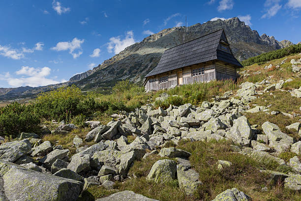 istock Summer in 5 lakes valley in High Tatra Mountains 511801900