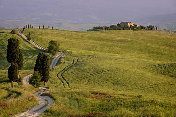 Gladiator Road in Tuscany The white gravel road (or strada bianca) with cypress trees alongside it in the evening light in the Valdorcia (Orcia Valley) near Pienza in Tuscany, Italy. The road is also called Gladiator Road because the movie The Gladiator was partly recorded here. strada sterrata stock pictures, royalty-free photos & images