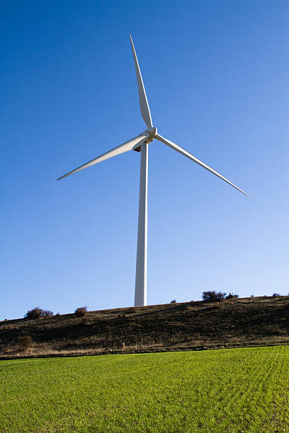 Wind turbine in a field stock photo