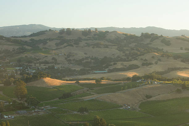istock wine country in morning 511807506