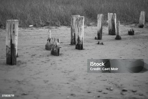 Fenceposts In The Sand With Grass In Background Stock Photo - Download Image Now - Beach, Bizarre, Black And White