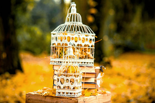 cage avec feuilles debout extérieur, décorations - formal garden fairy candle magic photos et images de collection