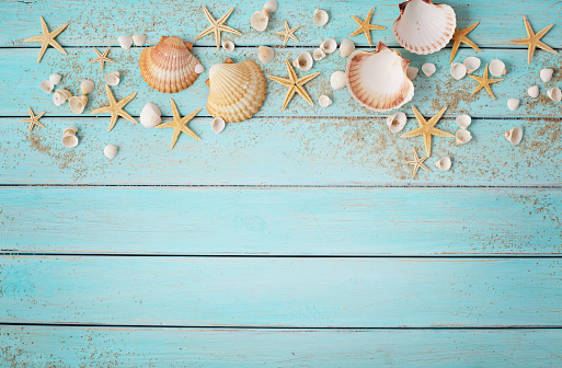 seashells and sand on wooden board