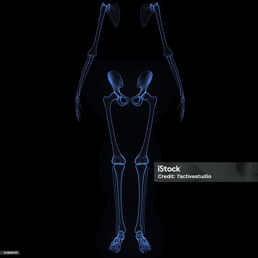 Hip and legs The hip region is located lateral to the gluteal region (i. e. the buttock), inferior to the iliac crest, and overlying the greater trochanter of the femur, or "thigh bone". In adults, three of the bones of the pelvis have fused into the hip bone which forms part of the hip region. Anatomy Stock Photo