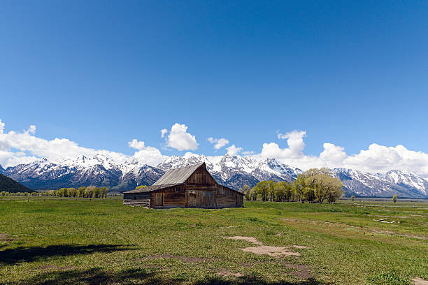 istock Old Mormon Barn in the Tetons 511809670