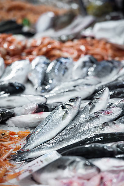 istock volpini sea in the fish bank 511811090