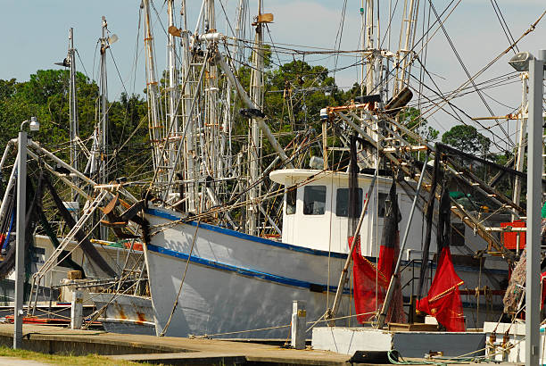 Shrimp boats in Apalachicola, Florida.