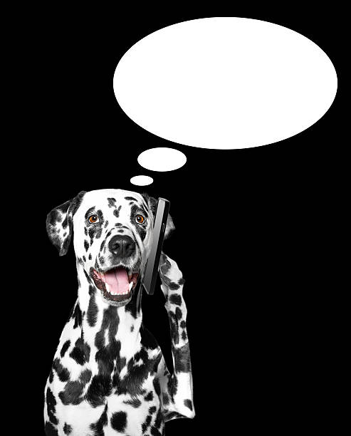 istock the dog is talking over the mobile 511814008