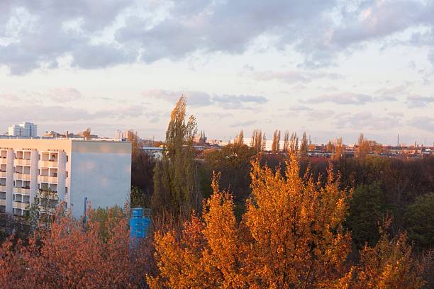 istock High angle view of autumn trees in city 511821029