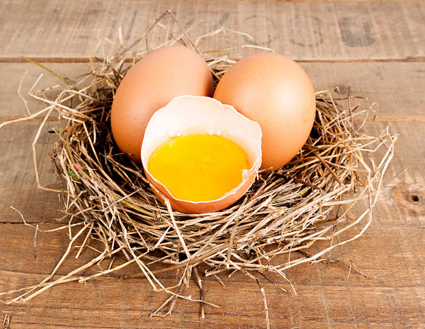 istock Egg in hay nest on old wooden table background 511847239