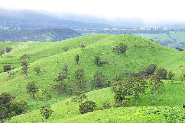 istock Countryside in the Blue Mountains 511847405