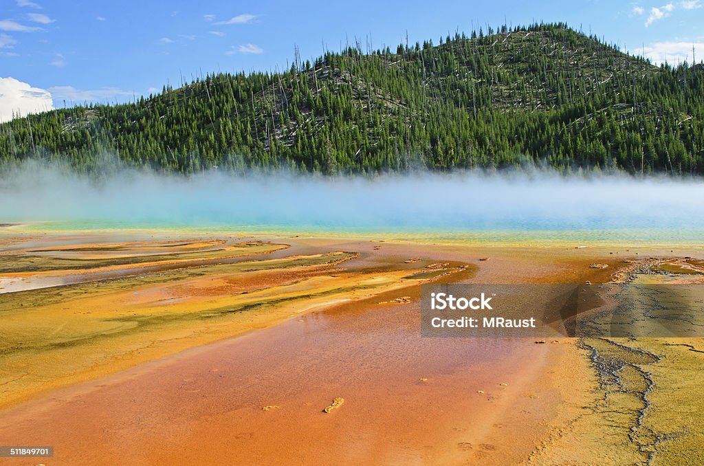 Grand Prismatic Thermal Pool The brightly colored runoff channels of Grand Prismatic Spring in Yellowstone National Park Bacterium Stock Photo