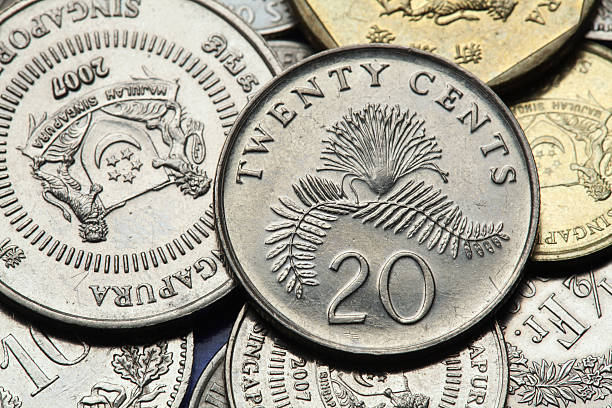 istock Coins of Singapore 511850153