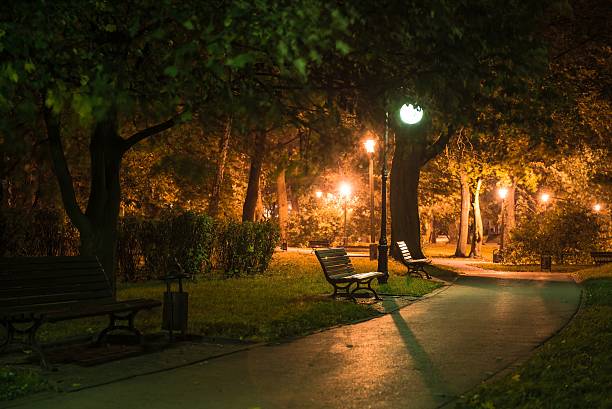 istock Dark Park Alley 511850428