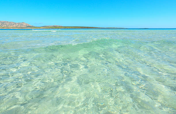 istock crystal clear water in La Pelosa 511850670