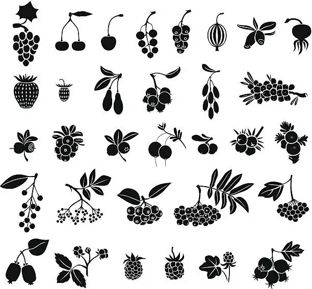 Vector illustration of Berries set