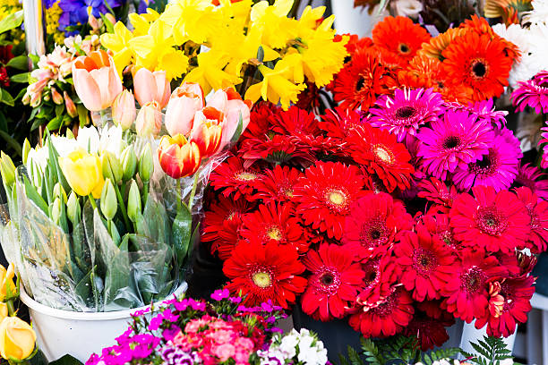 istock Bouquet of flowers 511853366