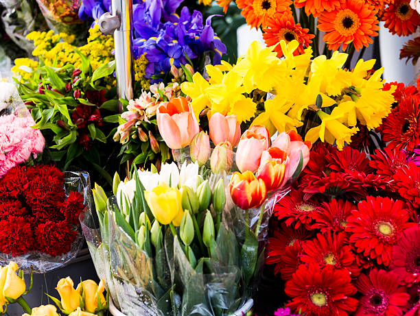 istock Bouquet of flowers 511853408