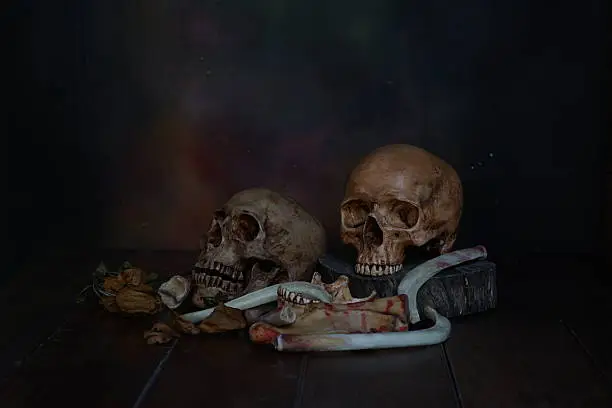 In the dark skull have still life.