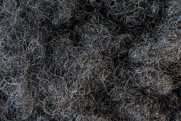Full frame curly black and gray hair